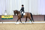 SBM_004384
