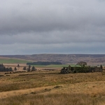 Widdop