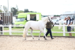 SBM_19039