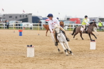 SBM_004310