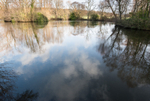 Burton Mere 1