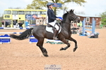 Cls 5 Pony Foxhunter & 1.10m Open portfolio