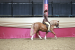 SBM_03323