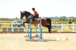 SBM_006232