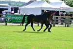 SBM_01120