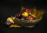 Autumn fruit