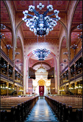 Meditation Project portfolio