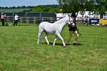 SBM_07812