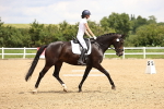 SBM_000960