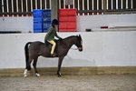 Class 10 Childs Pony portfolio