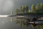 Caledonian Calm