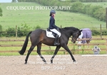 BPP_9947