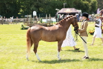 SBM_15681