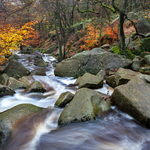 Padley Gorge