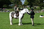 SBM_47025
