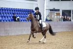 Class 2 - Show Jumping 50cm portfolio