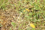 SBM_000522