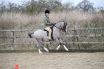 SBM_007213