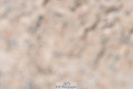 230520A-133443-01364