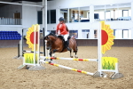SBM_000241