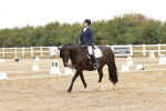 SBM_001221