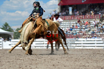 3HRodeo7-20-25_CFD_03321_