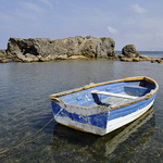 Little Boat