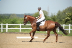 SBM_008684