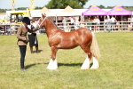 SBM_08626