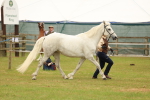 SBM_04223