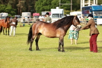 SBM_00500