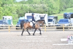 BPP_9637