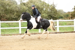 SBM_006506