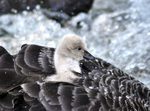Enjoying a ride on mum