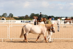 SBM_10938