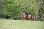 WJ6_2012