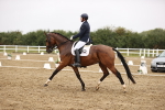 SBM_006676