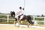 3E7A1798