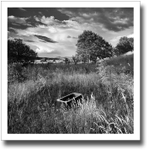 Sink ♦ CLEISH PLAIN