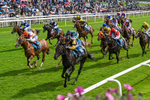060926-Race 2-Oriental Prince-0118