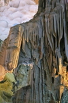 VIET_1155