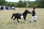 WJ6_5347