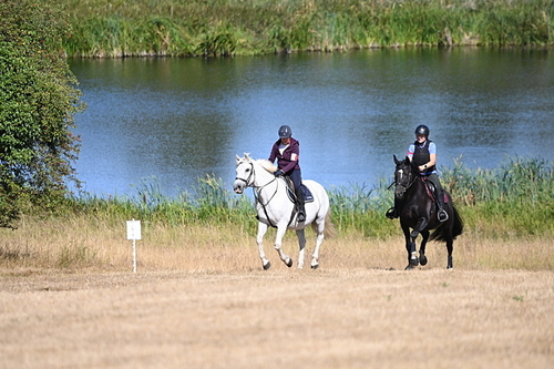WJ6_8104