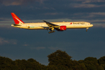 Royal Flight portfolio