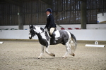 WJ5_6726