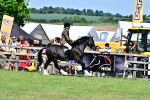 SBM_08032