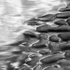 Sand Patterns