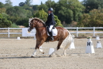 SBM_020256