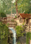 Shanklin Chine 2