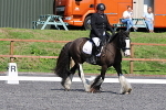SIAL4801
